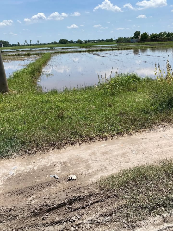 Đất thổ cư Đức Lập, 180m² chỉ 1 tỷ - Đầu tư sinh lời ngay!