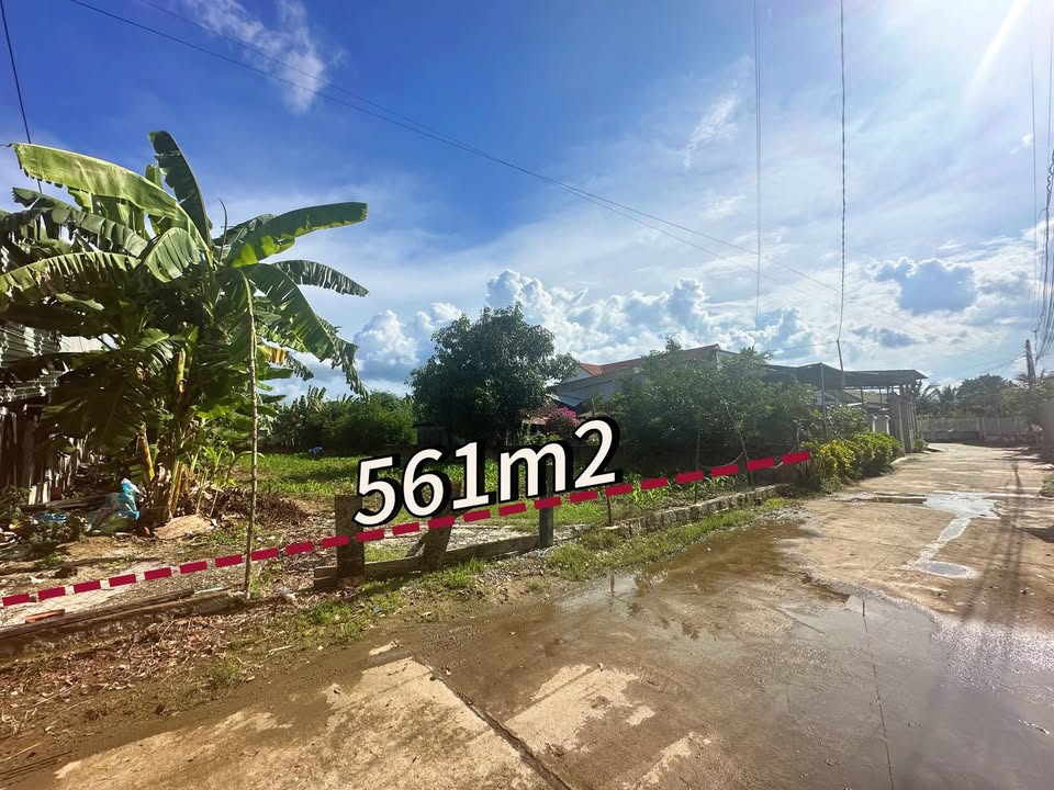 Lô Đất Vườn Diên Lâm, Diên Khánh 561m² chỉ 1.95 tỷ - Tiện ích đầy đủ, vị trí đẹp!