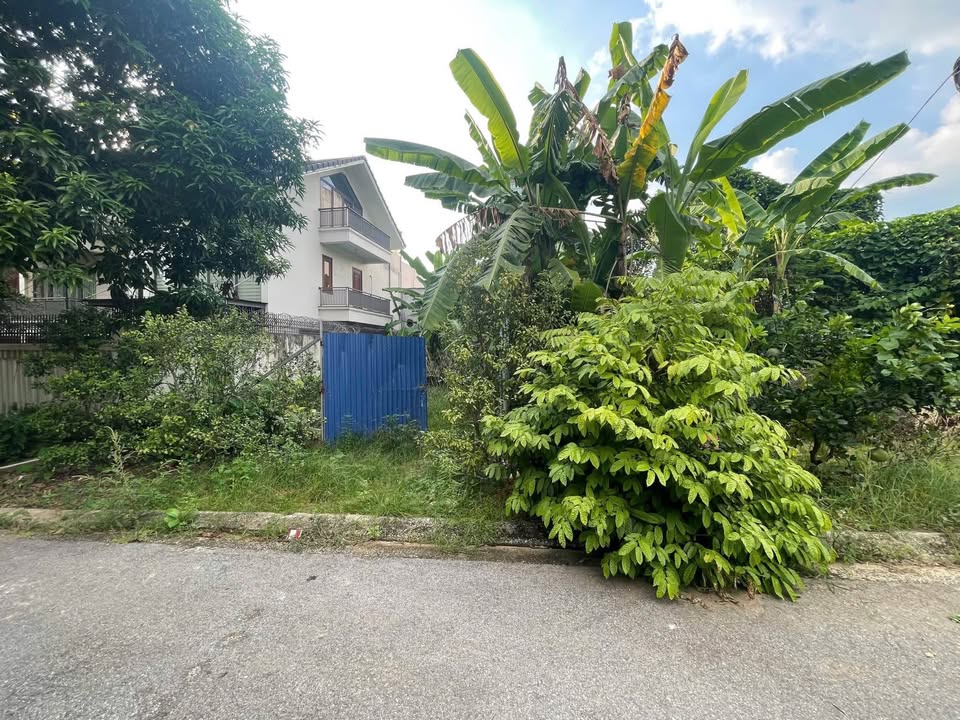 Đất cho thuê tại Phan Bội Châu 400m² - Mặt tiền rộng, vị trí đắc địa!