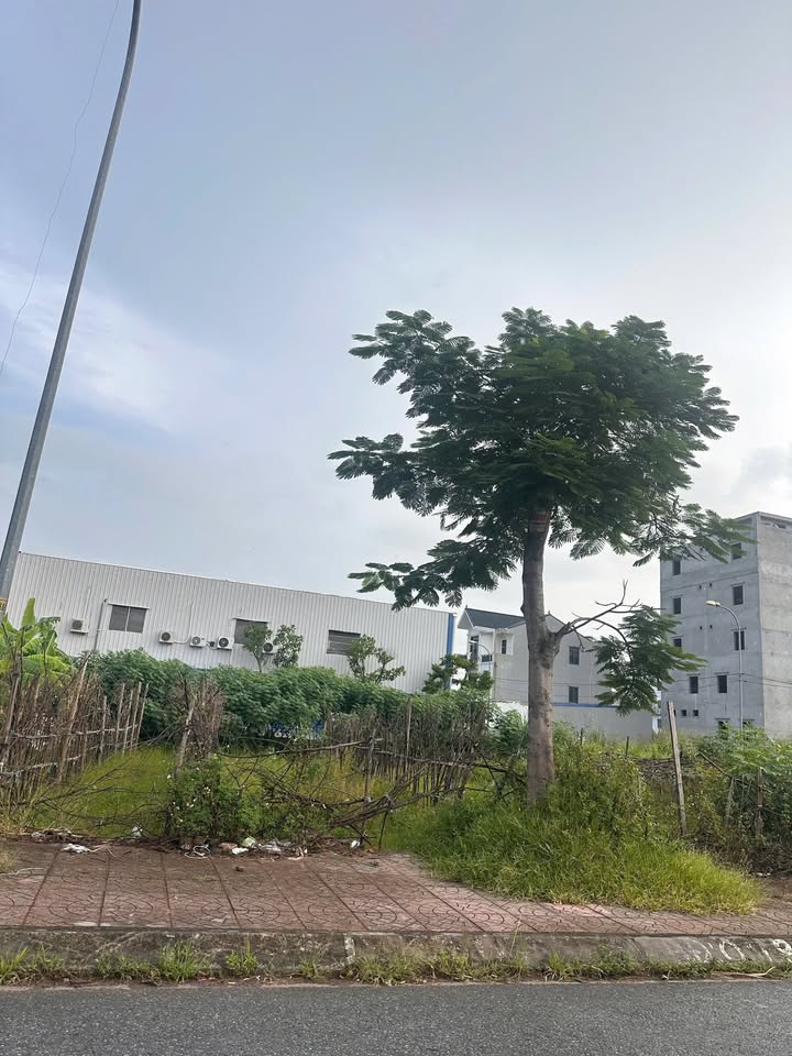 Lô đất đẹp Khang Dồi, Thủy Nguyên, Hải Phòng 100m², giá 4.8 tỷ - Tiềm năng đầu tư lâu dài!