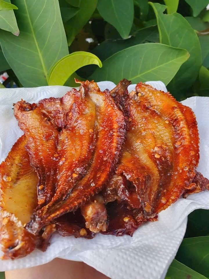 Đất thổ cư 66.5m² hẻm 106 Hàn Thuyên, Rạch Dừa, Vũng Tàu - Giá chỉ 3.9 tỷ!