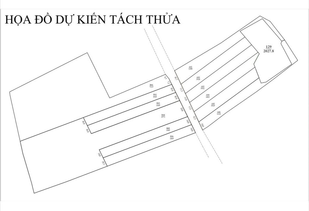 Đất nền mặt đường Liên Hà 1000m² giá chỉ 875 triệu - Cơ hội đầu tư hấp dẫn!