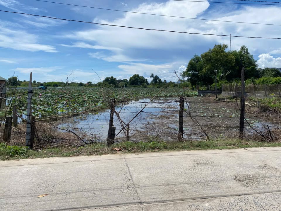 Bán gấp lô đất mặt tiền Trần Quốc Toản, 693m² chỉ 1.8 tỷ - Cơ hội đầu tư tuyệt vời!