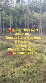 Đất Farm 3.5ha tại Thuận Lợi, Đồng Phú - Giá thỏa thuận hấp dẫn!