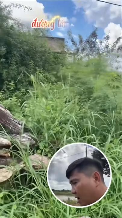 Đất mặt tiền đường Liên Huyện Xuân Lộc 262m² giá 1.85 tỷ - Cơ hội đầu tư sinh lời!