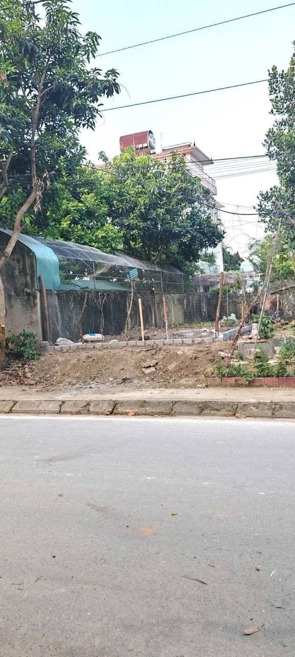 Bán lô đất đường Nguyễn Cảnh Chân, Lào Cai 100m² - Pháp lý rõ ràng, xây tự do!