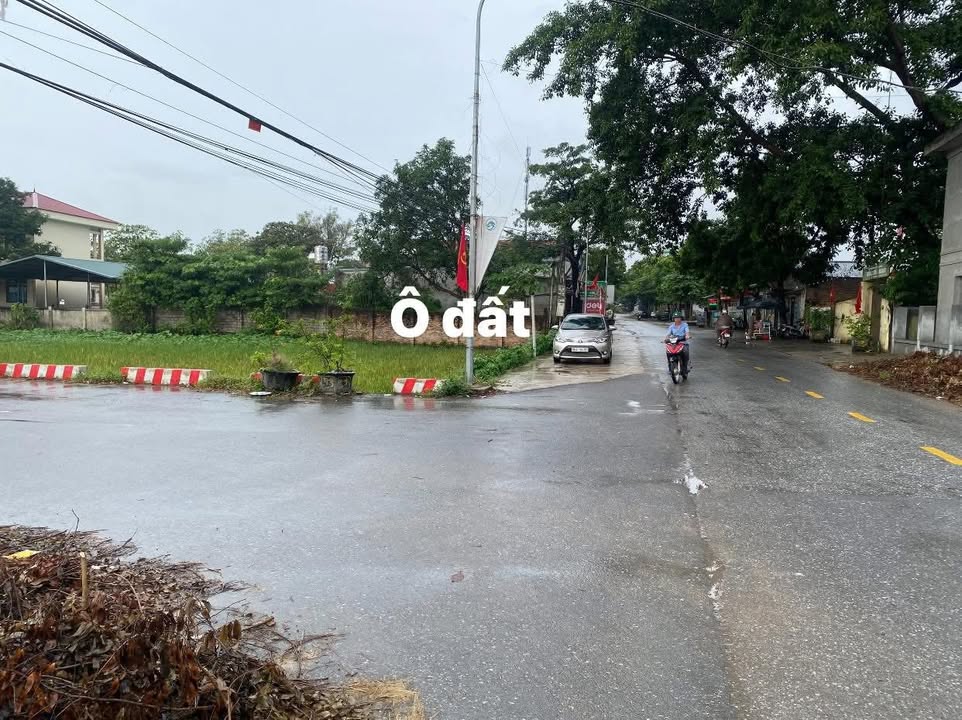 Đất nền mặt đường tỉnh 302, xã Minh Quang, Tam Đảo - Diện tích 220m², giá chỉ 3.11 tỷ!