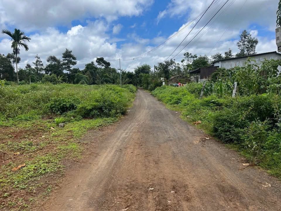 Đất nền xã Ea Nuôl, huyện Krông Pắc 150m² giá 550 triệu - Mặt tiền thông thoáng!