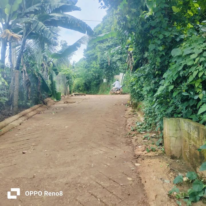 Đất nền Phước An, Krông Pắc 125m² giá 600 triệu - Đường bê tông, gần trường học!