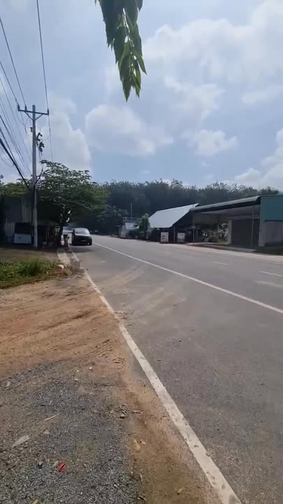 Đất thổ cư Chánh Phú Hòa Bến Cát 8000m² giá 13.5 tỷ - Cơ hội đầu tư tuyệt vời!