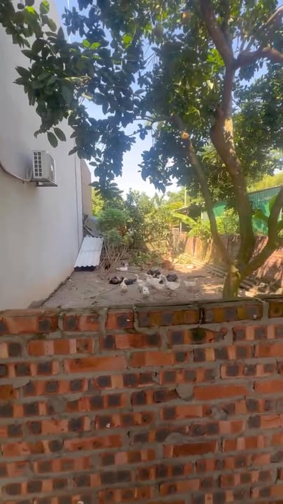 Lô đất đẹp tại Hoà Thượng, Bạch Hạ 80m² giá 1 tỷ - Cần bán gấp!