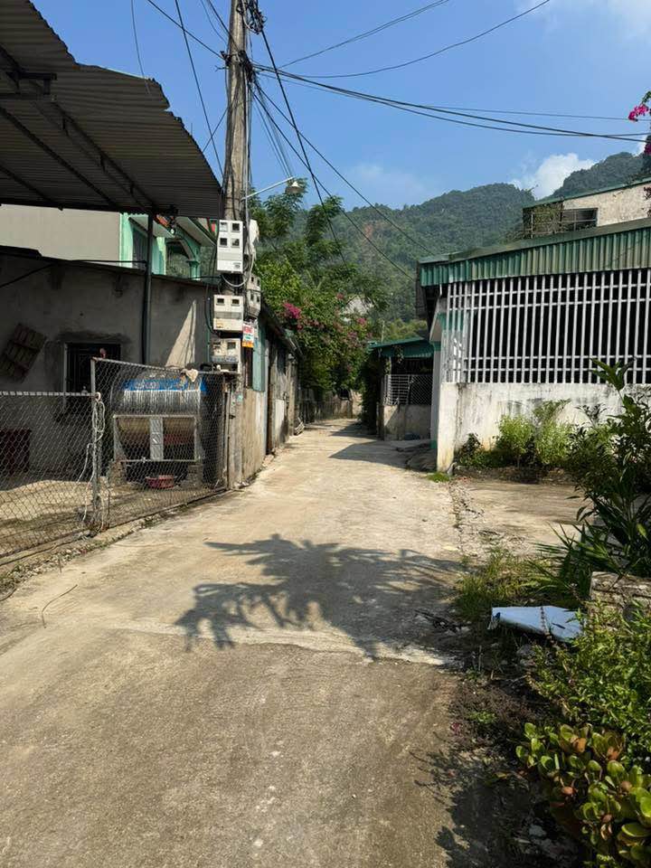 Đất nền Tổ 1 Nông Tiến 104m² giá chỉ 800 triệu - Cơ hội đầu tư hấp dẫn!