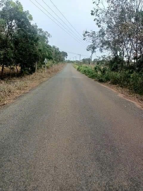 Đất Farm Lộc Ninh 504000m² giá 2 tỷ - Đầu tư sinh lời ngay!