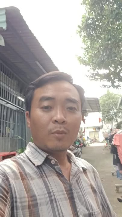 Đất nền 64m² đường bê tông 5m tại Tân Bình - Chỉ 339 triệu!