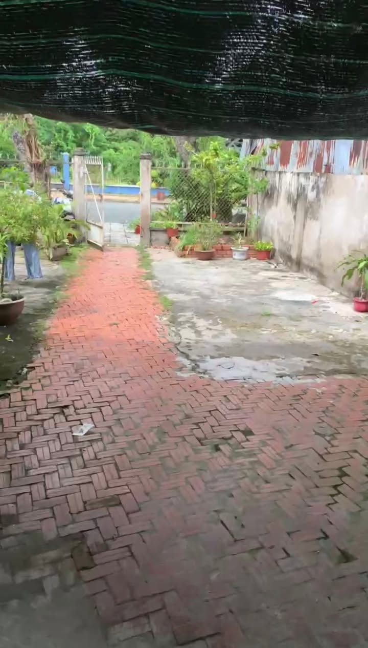 Nhà cấp 4 cho thuê tại Phường Cao Lãnh, 1PN, giá chỉ 3.5 triệu/tháng - Phù hợp gia đình và kinh doanh!