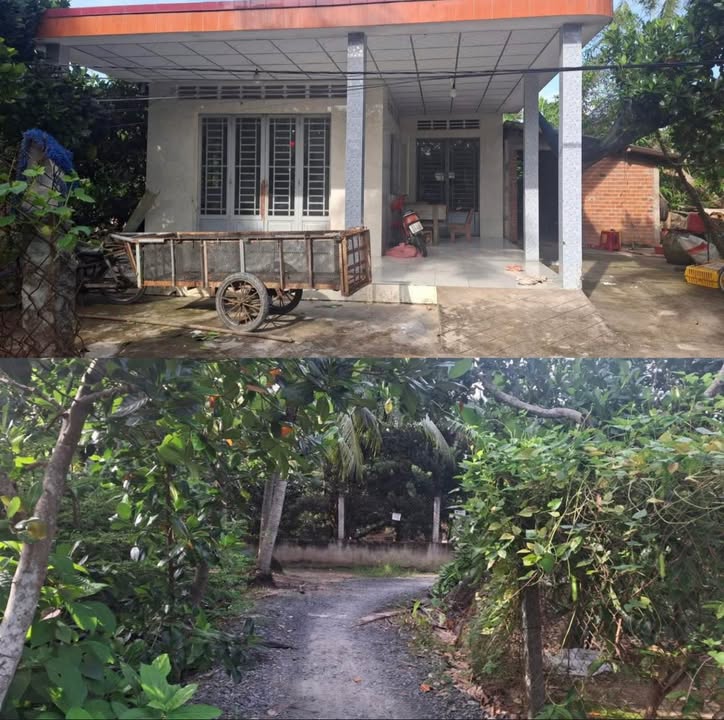 Đất 2 mặt tiền ô tô 567m² tại Cam Sơn - Giá chỉ 900 triệu!