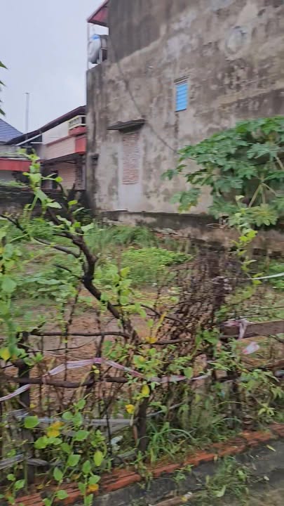 Đất thổ cư Phúc Cầu, Cẩm Giàng 114m² giá 1.4 tỷ - Lô góc 2 mặt tiền