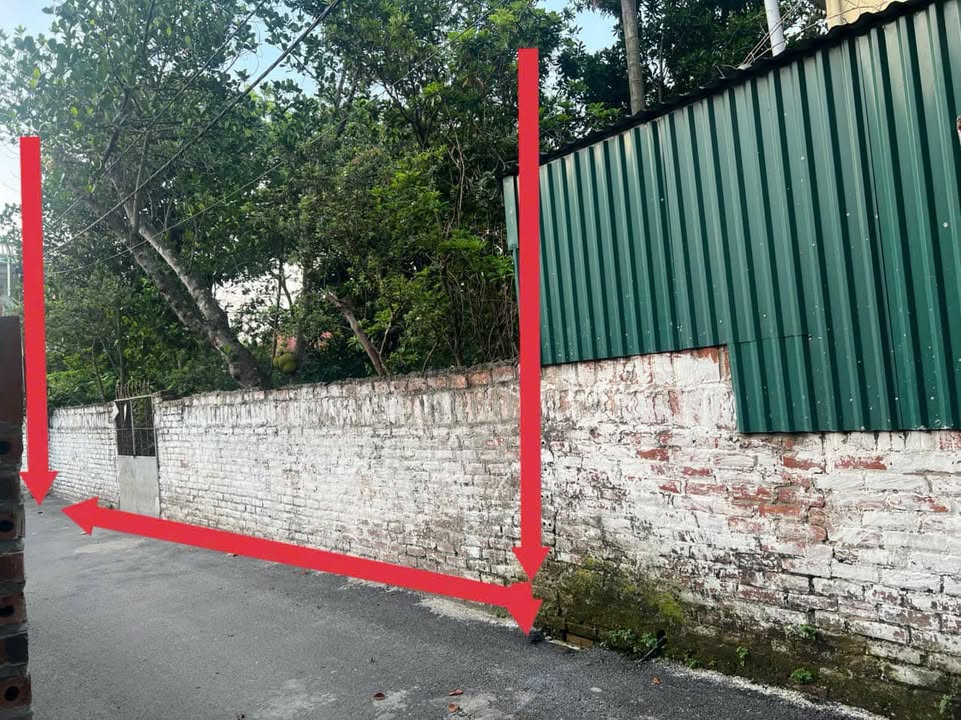 Đất thổ cư 419m² 2 mặt tiền tại xã Tân Phú, Vĩnh Tường - Cơ hội đầu tư hấp dẫn!