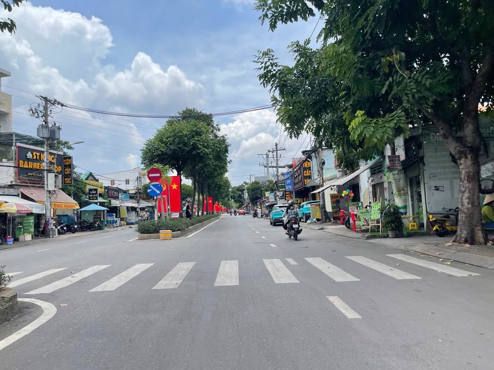 Mặt tiền Trần Thị Điệu, Thủ Đức 200m² giá 30 tỷ - Kinh doanh sầm uất!