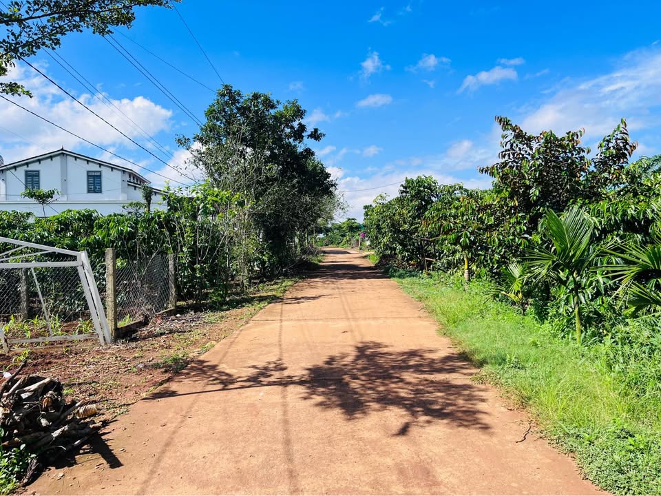 Đất sào Đức Trọng Lâm Đồng 1690m² giá chỉ 2.2 tỷ - Đầu tư lý tưởng gần sân bay!