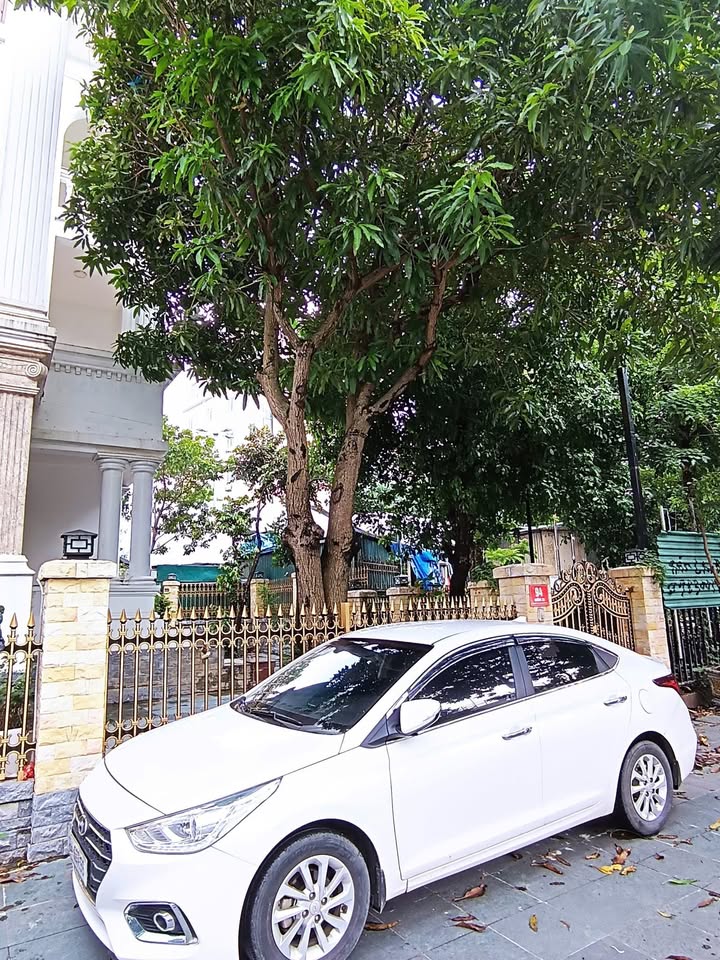 Biệt thự cho thuê lô góc tại Cổ Nhuế – 220m² giá 68 triệu/tháng - Không gian thoáng đãng!