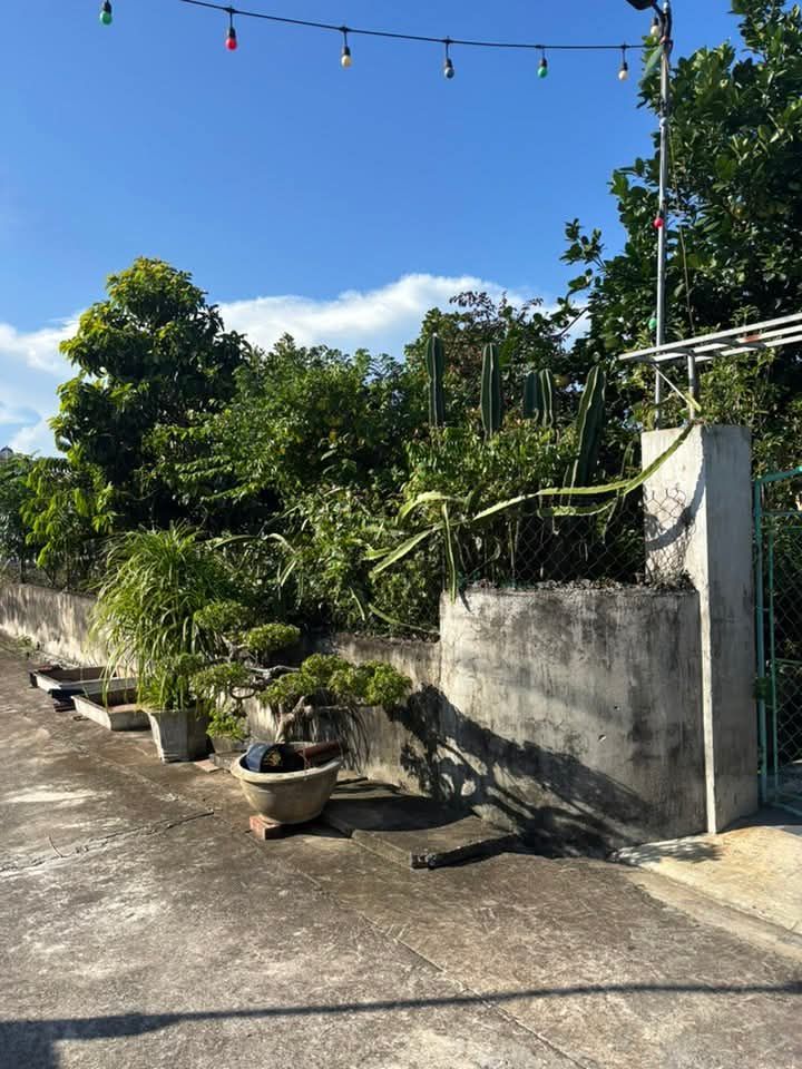 Đất thổ cư Giao Phong 300m² - Nhà cấp 4, giá đầu tư hấp dẫn!