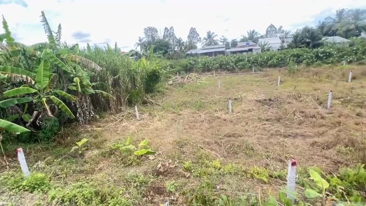 Đất nền xã Tân Lược 100m² giá 290 triệu - Đầu tư sinh lời hấp dẫn!