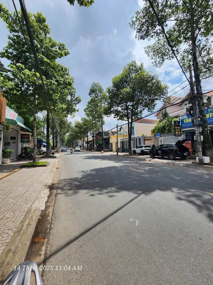 Đất mặt tiền Trương Định, Biên Hòa 312m² giá 26 tỷ - Vị trí kinh doanh sầm uất!