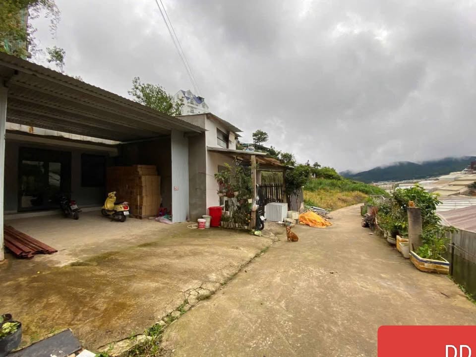 Lô Đất Nông Nghiệp 123m² tại Xuân Hương, Đà Lạt - Giá chỉ 1.35 tỷ!