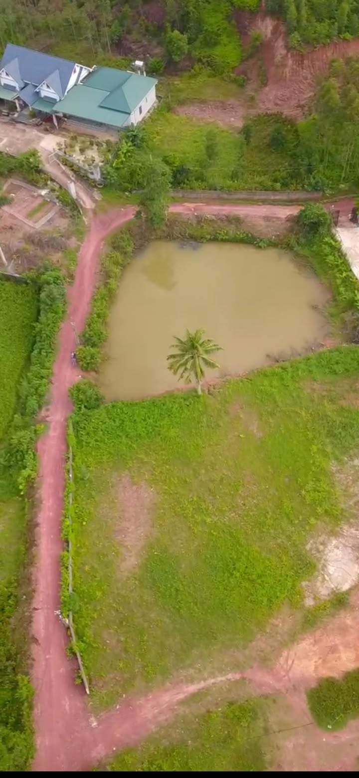 Đất thổ cư Lạng Giang 3000m² giá 3 tỷ - Đường rộng ô tô vào tận nơi!