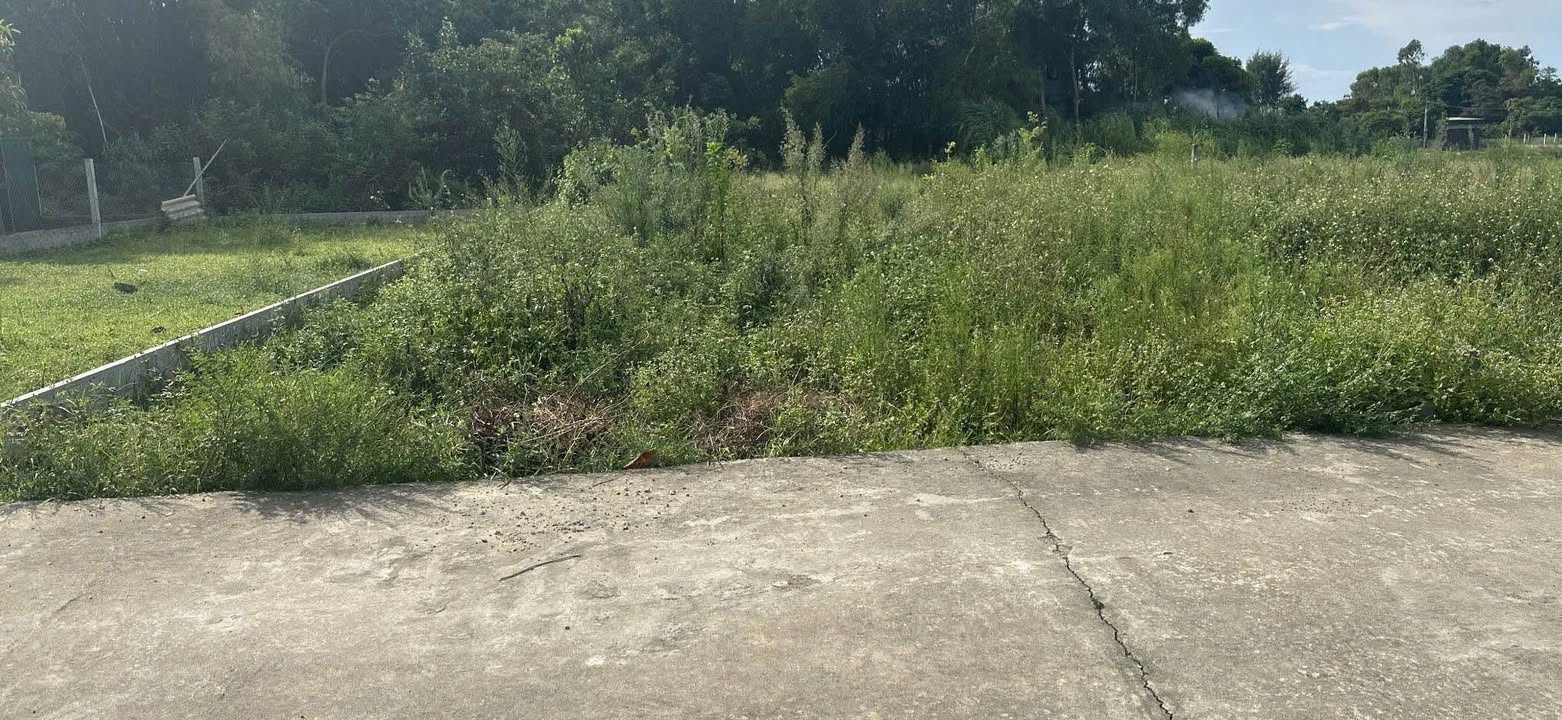 Đất nền Nghi Phong 165m² giá thỏa thuận - Vị trí đắc địa gần ủy ban!