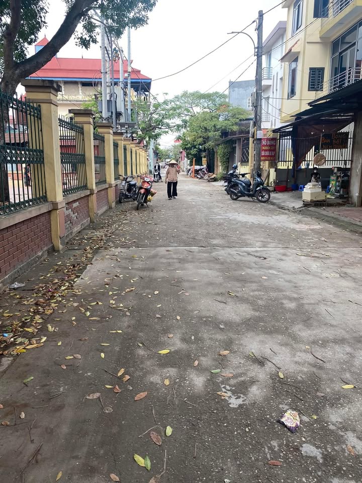 Đất nền Thụy Lâm Đông Anh 111m² giá chỉ 3 triệu/m² - Cơ hội đầu tư tuyệt vời!