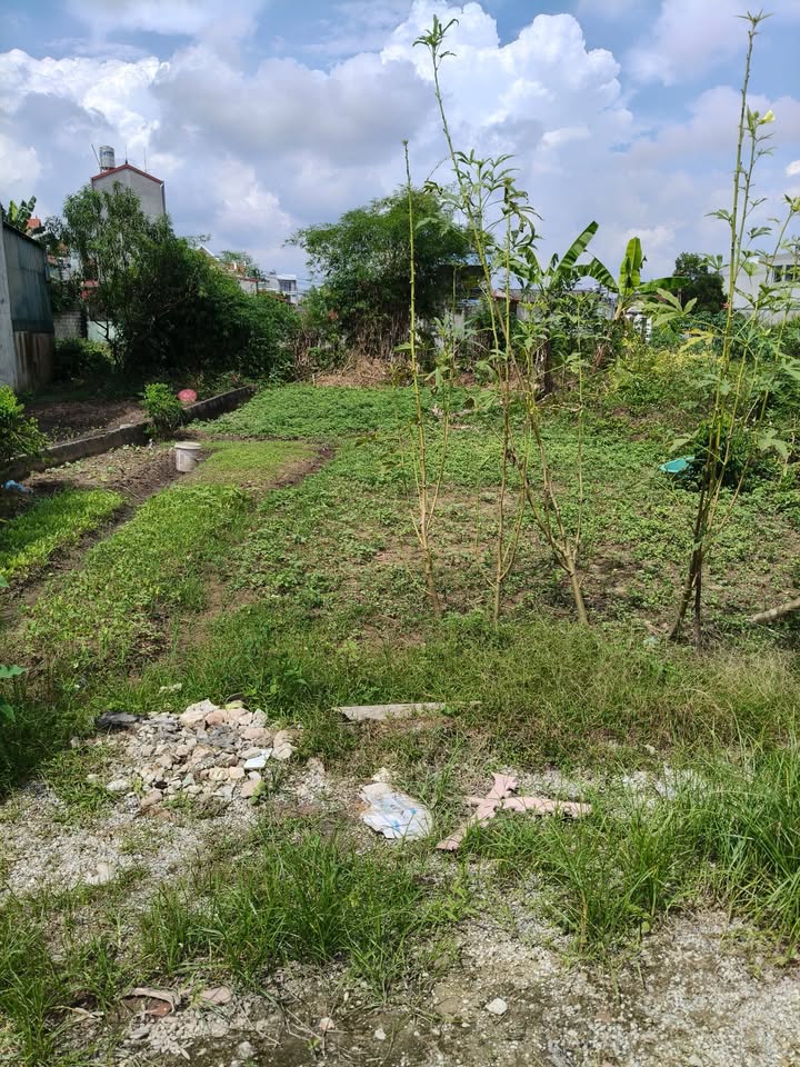 Đất nền Mai Pha Lạng Sơn 117m² giá 1 tỷ - Vị trí đắc địa gần Viettel