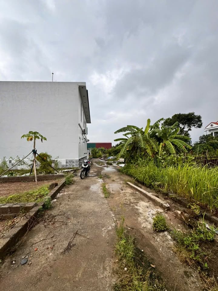 Đất nền TĐC Hồng Vân Thường Tín 44.4m² giá chỉ 2.39 tỷ - Cơ hội đầu tư sinh lời!