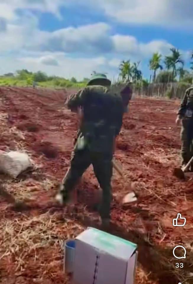 Đất nền tại phường Thành Nhất, Buôn Ma Thuột 9000m² giá 900 triệu - Cơ hội đầu tư hấp dẫn!