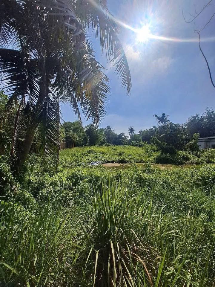 Đất góc 2 mặt tiền TX52 Gò Vấp 4000m² giá 40 tỷ - Tiềm năng đầu tư vượt trội!