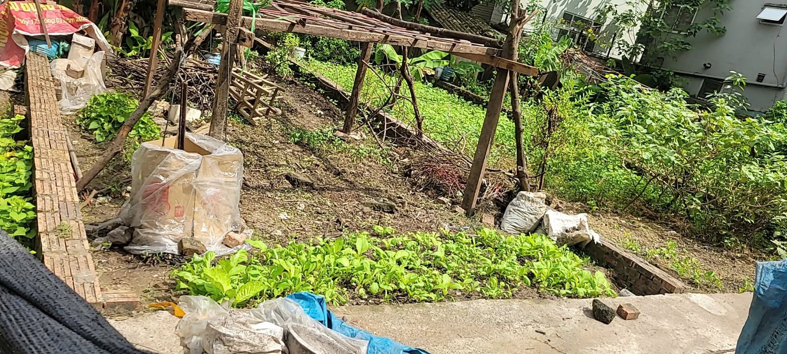 Lô đất Kiêu Kỵ, Gia Lâm 56m² giá 4 tỷ - Đầu tư sinh lời tuyệt vời!