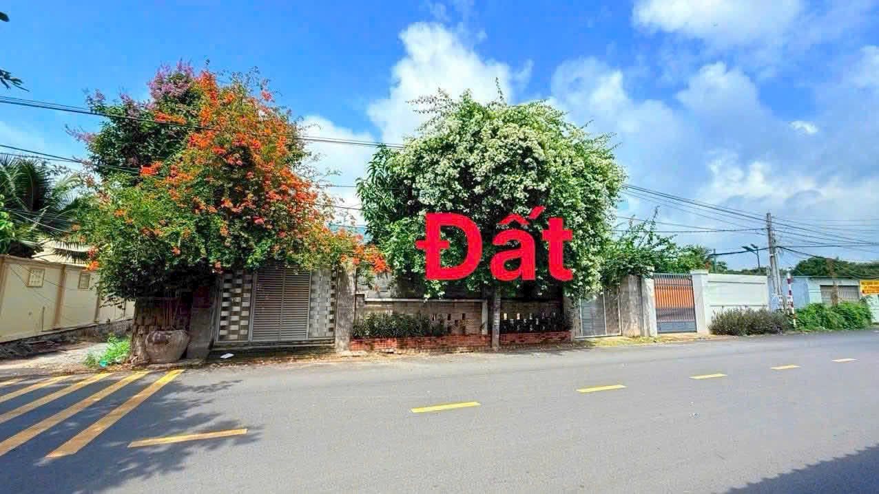 Đất mặt tiền kinh doanh Nguyễn Tất Thành, Phước Hải 160m² - Cách biển chỉ 700m!