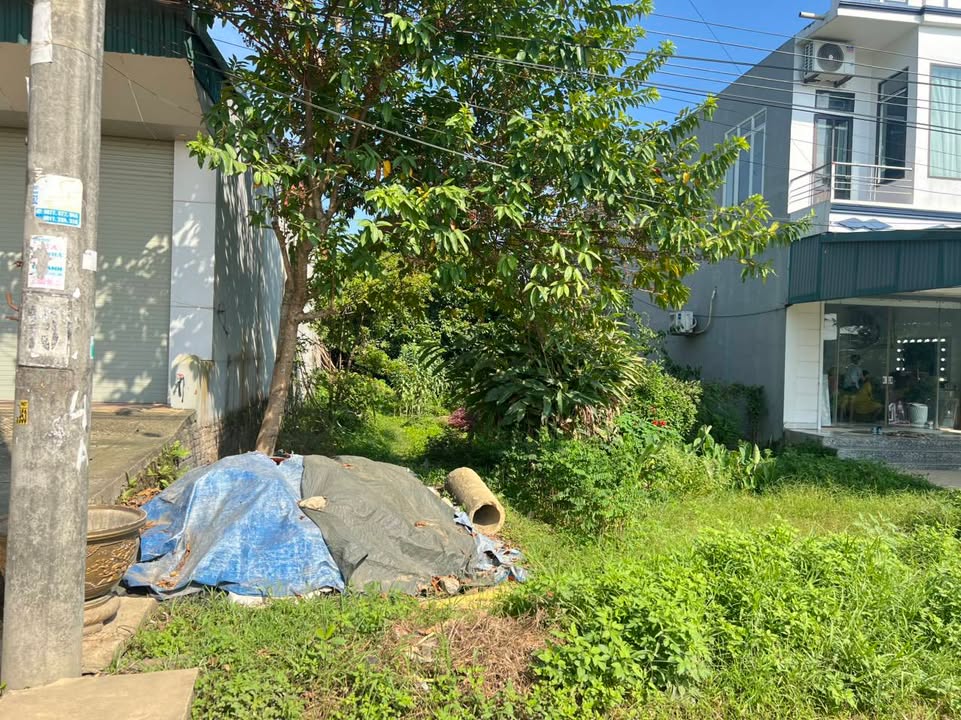 Đất nền Phú Thọ 99.5m² giá thỏa thuận - Đầu tư sinh lời ngay!