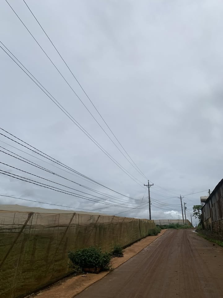 Đất nền Đạ Ròn 500m² giá chỉ 1.3 tỷ - Sổ hồng riêng, vị trí đẹp!