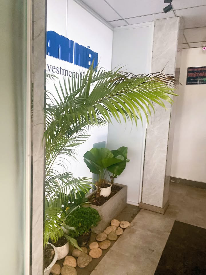 Văn phòng cho thuê tại Quận 1 - Diện tích 44m², giá tốt, vị trí đắc địa