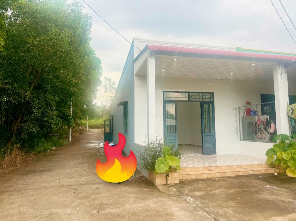 Nhà giá rẻ tại Phú Hòa, Định Quán - 125m² chỉ 600 triệu - Sẵn sàng vào ở ngay!