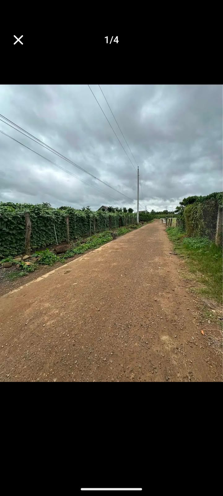 Đất nền Tân Hội 200m² giá 550 triệu - Sổ đỏ trao tay ngay!