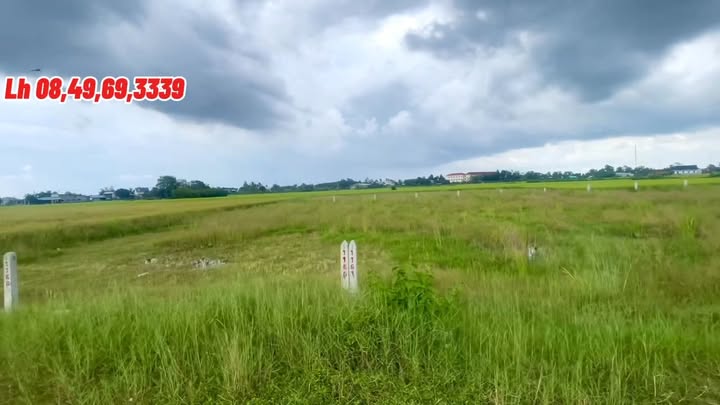 Đất nền Bến Cầu Tây Ninh 185m² giá 390 triệu - Đầu tư sinh lời ngay!