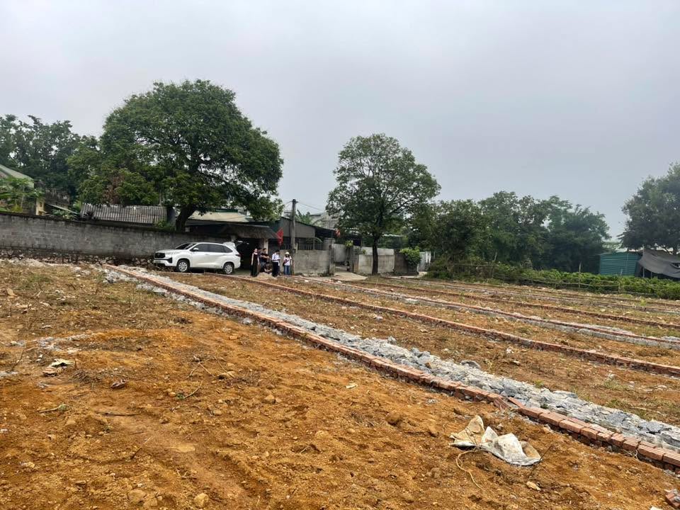 Đất nền Xuân Hòa, Lương Sơn 115m² - Giá chỉ 1x/m², cơ hội đầu tư không thể bỏ qua!