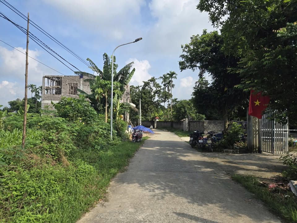 Đất thổ cư 50m² tại Nhuận Trạch, Lương Sơn - Giá chỉ 2 tỷ!