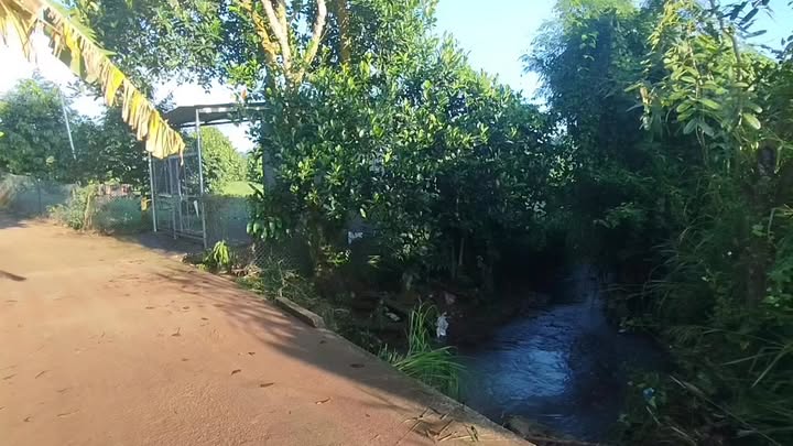 Đất sào Sầu Riêng Bảo Bình 14400m² giá 115.2 tỷ - Cơ hội đầu tư sinh lời!