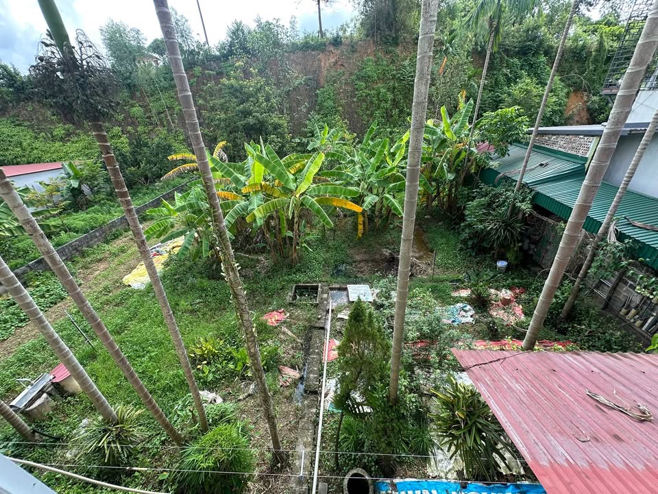 Đất cho thuê tại Phú Xá, Thái Nguyên 600m² - Vị trí đắc địa, giá thương lượng!