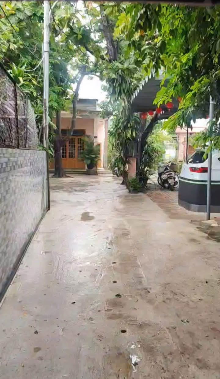 Nhà vườn 137m² đường Ông Ích Đường, Cẩm Lệ, giá 3.37 tỷ - Sân phơi rộng rãi!