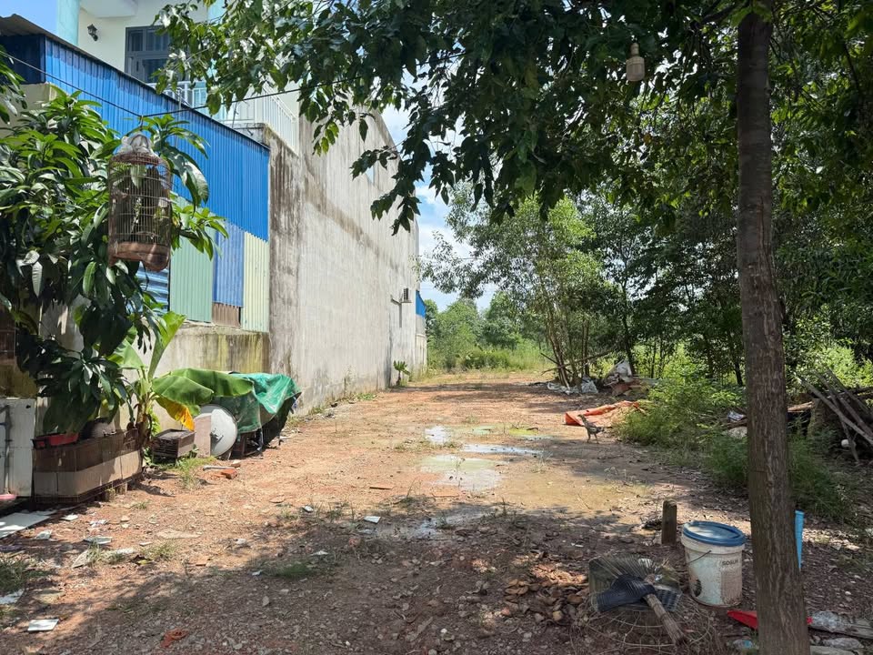 Đất nền mặt tiền đường N16, Khu đô thị Mỹ Phước 4, 150m² - Đầu tư sinh lời tuyệt vời!